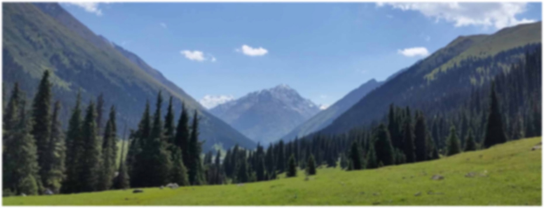 Краны Фасси